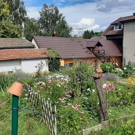 Apartman Luka 2 *